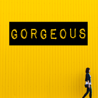 Gorgeous - Full Cover cover